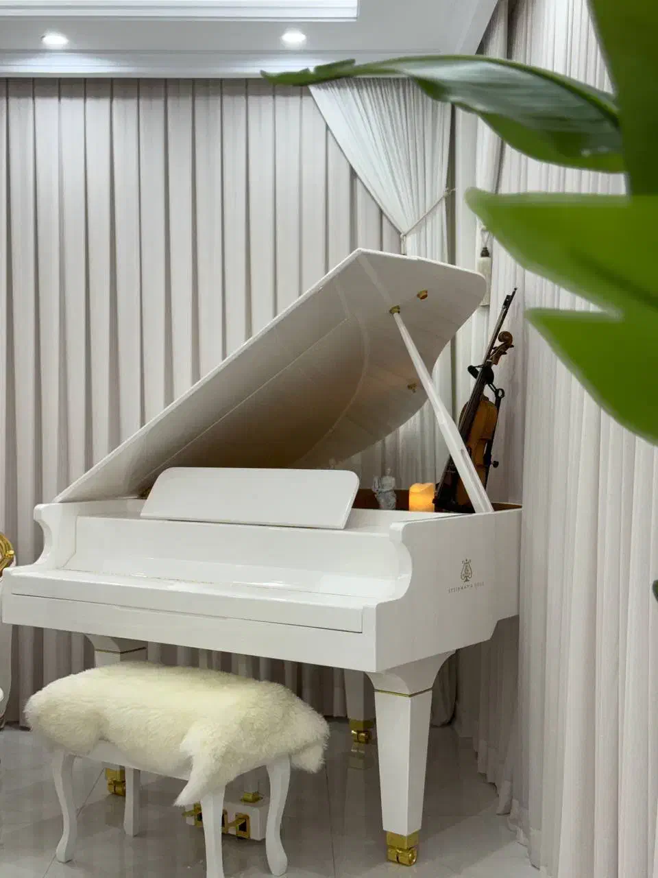 پیانو گرند ۱۶۰ سانت|پیانو، کیبورد، آکاردئون|تهران, حبیب الله|دیوار