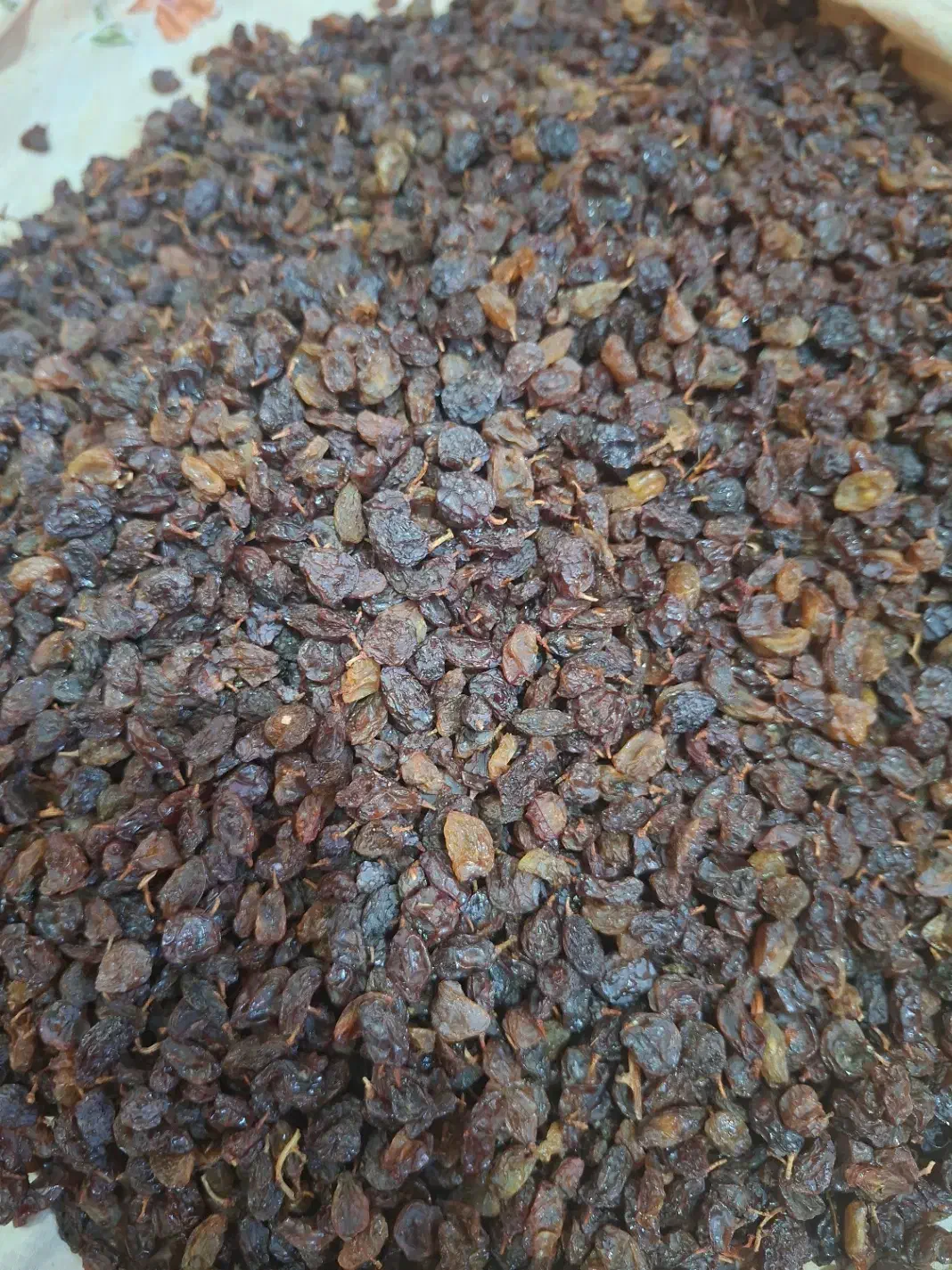 کشمش آفتابی اعلا|خوردنی و آشامیدنی|فرخشهر, |دیوار