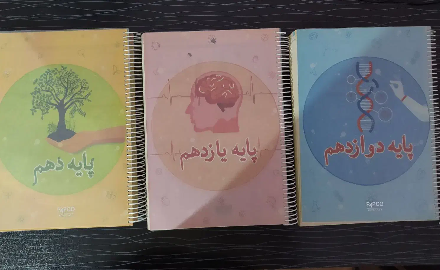 کتاب تست زیست جامع IQ|کتاب و مجله آموزشی|مراغه, |دیوار