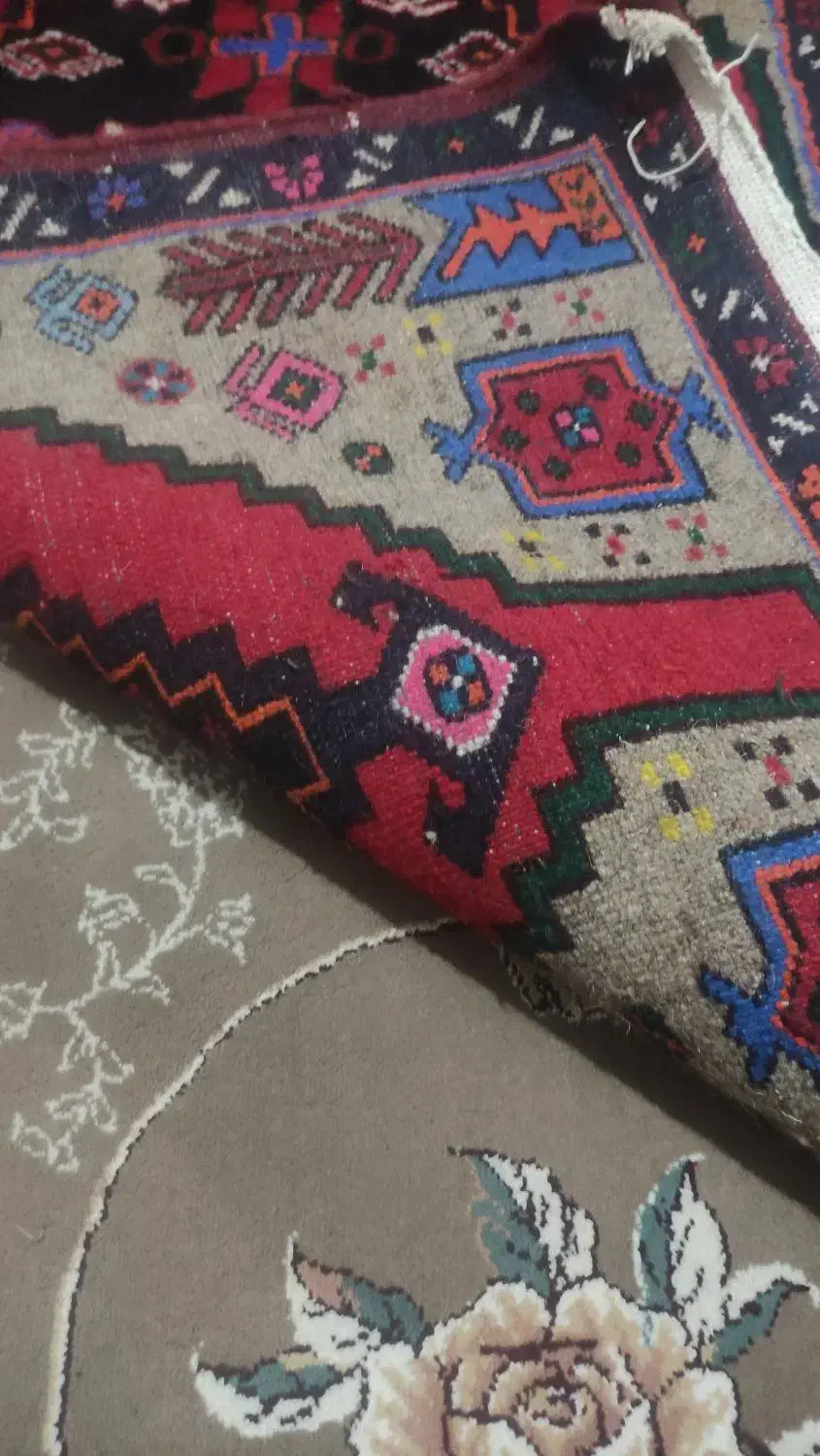 قالیچه ی شاهسونی|فرش|قم, ارم|دیوار