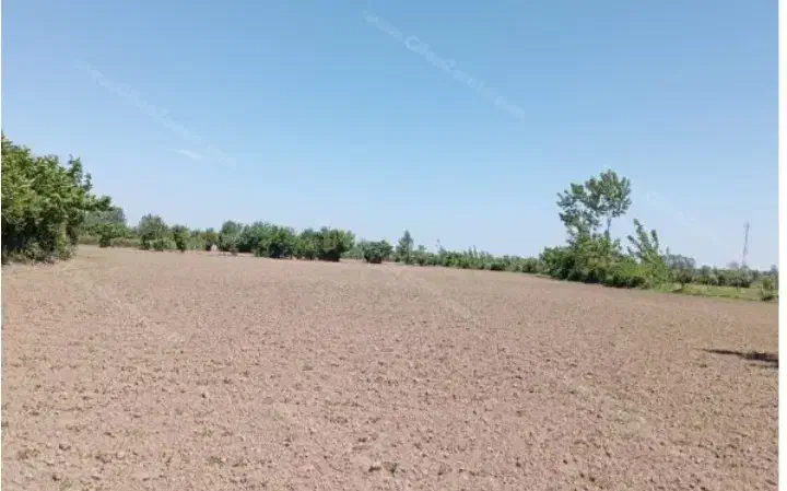 زمین اجارهی در روستای طوهان بخش دشت کوچ|اجارهٔ دفتر صنعتی، کشاورزی، تجاری|عنبرآباد, |دیوار