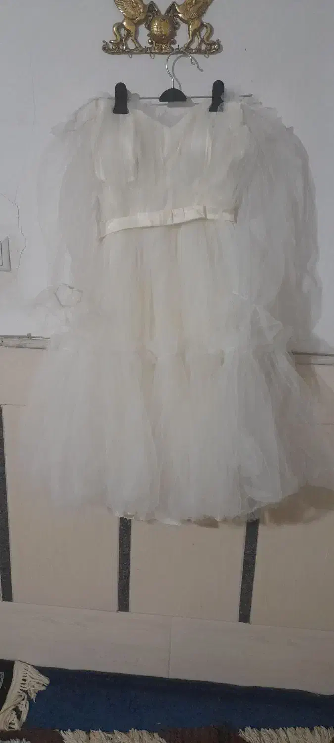 لباس مجلسی|لباس|قم, شهر قائم|دیوار