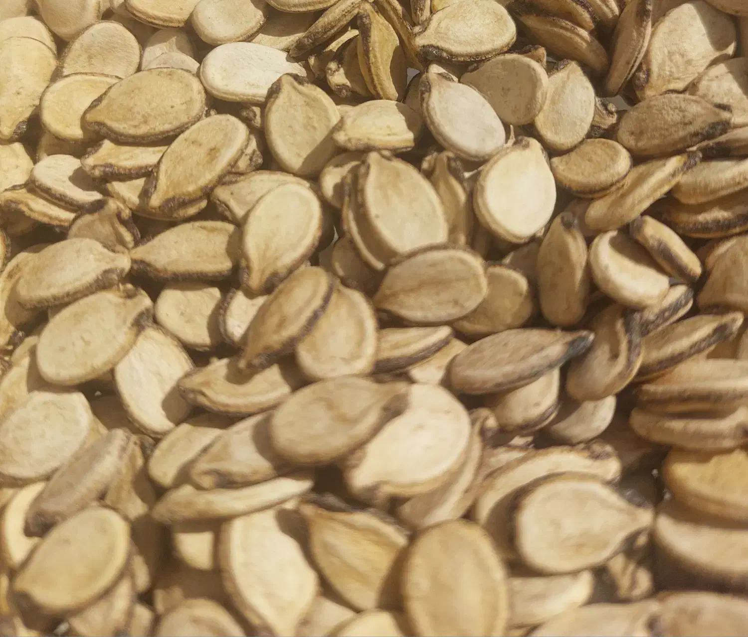 تخمه هندوانه|خوردنی و آشامیدنی|یزد, |دیوار