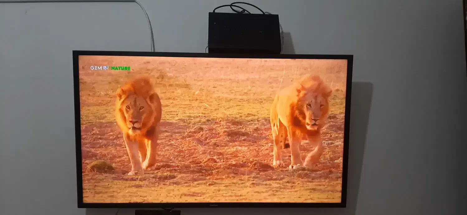 فروش تلویزیون سامسونگ ۴۳اینچ سامسونگ و گیرنده|تلویزیون و پروژکتور|جم, |دیوار