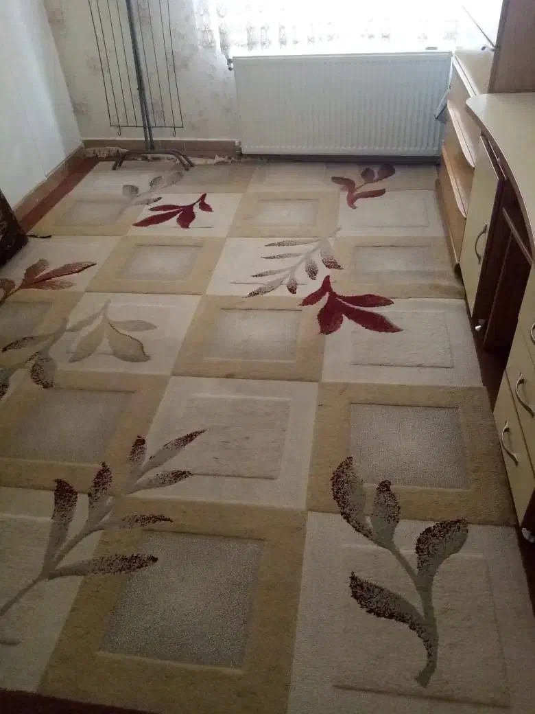 9متری|فرش|قزوین, |دیوار