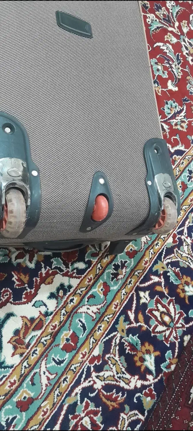 چمدان متوسط|کیف، کفش، کمربند|مشهد, موعود|دیوار