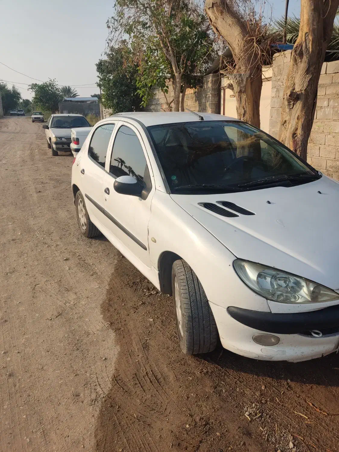 ۲۰۶ مدل ۸۳ تک برگ سند|خودرو سواری و وانت|جیرفت, |دیوار