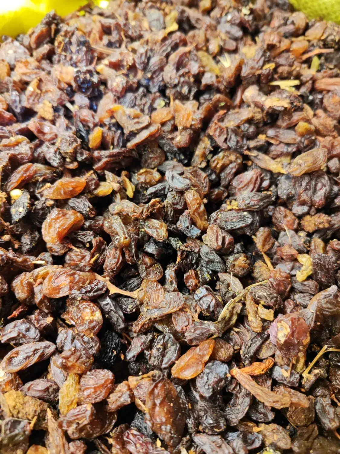 کشمش گله و خرما ضایعات نقد و اقساط|خوردنی و آشامیدنی|مشهد, شهید مطهری|دیوار