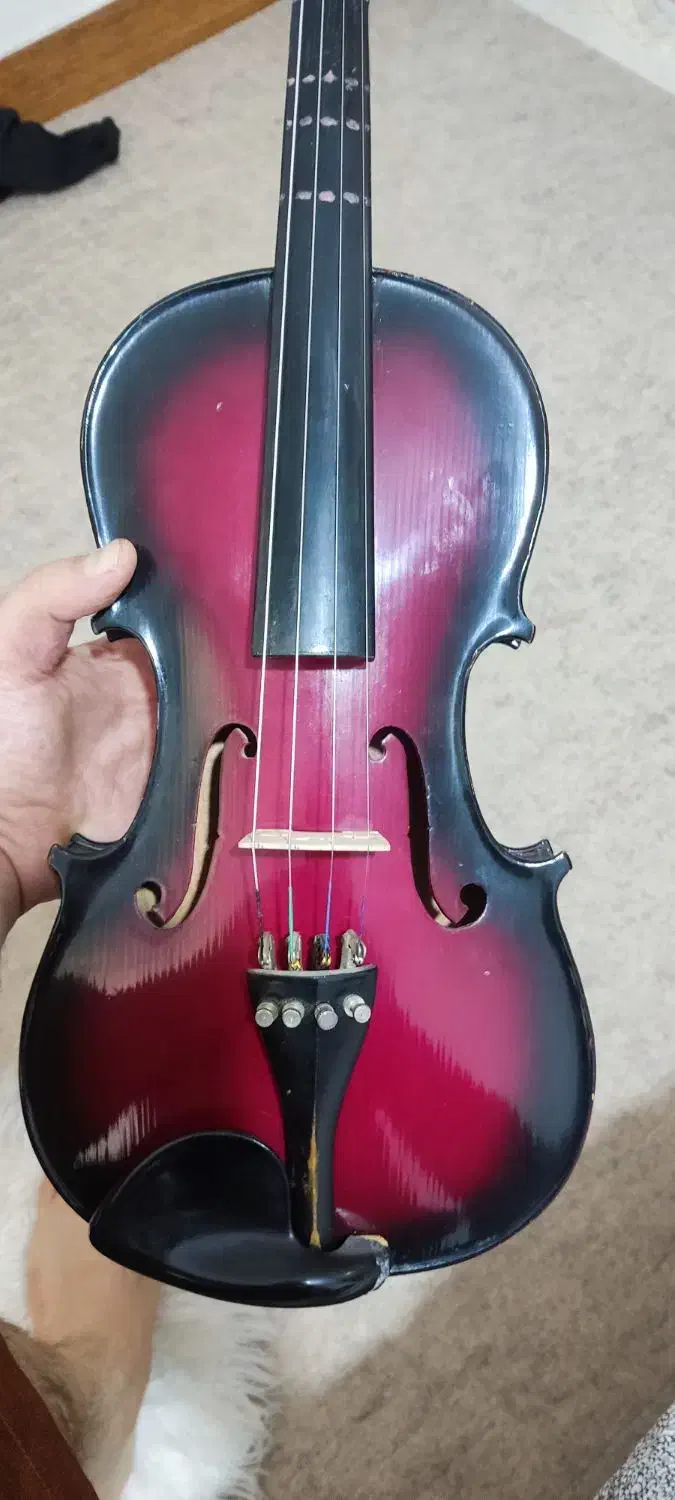 ویولون خوش صدا و زیبا|ویولن|سقز, |دیوار