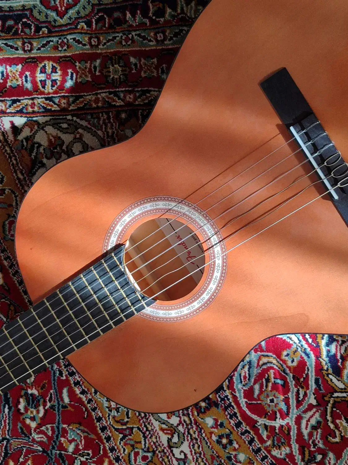 گیتار|گیتار، بیس، امپلیفایر|اراک, |دیوار