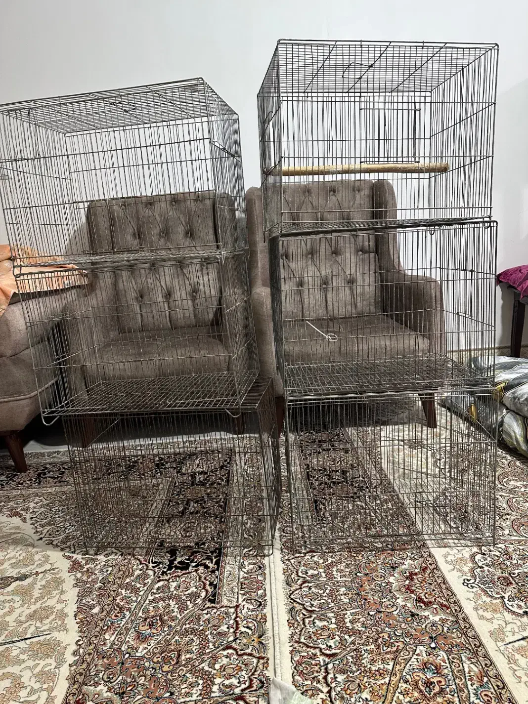 قفس|لوازم جانبی حیوانات|اسلام‌شهر, مظفریه|دیوار