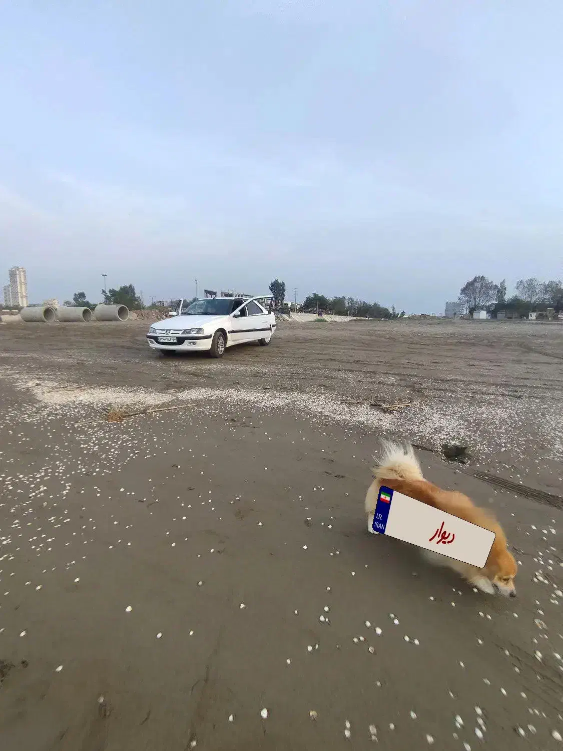 پژو پارس elx فول|خودرو سواری و وانت|دابودشت, |دیوار