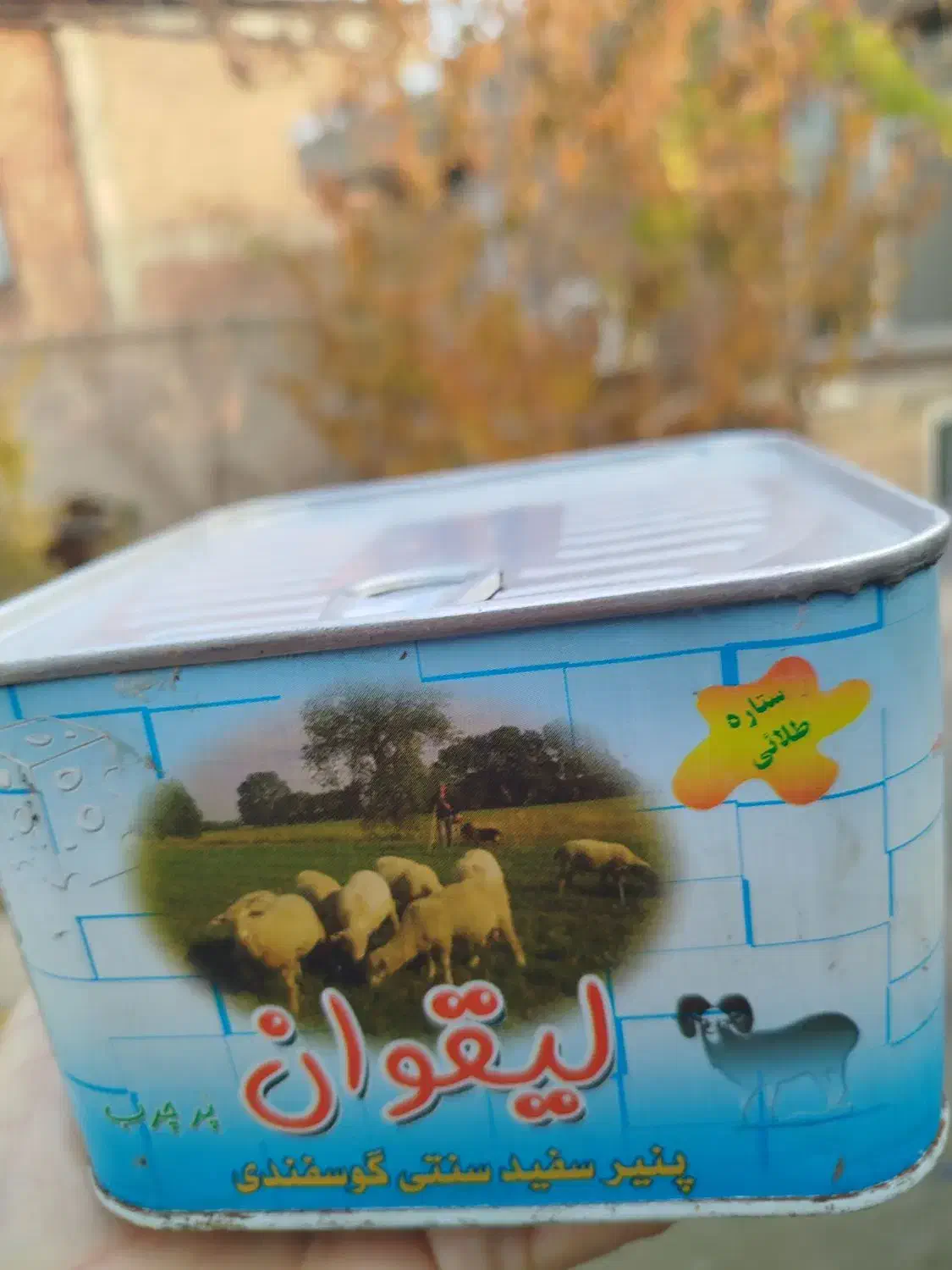 ب قیمت تولید|فعالیت داوطلبانه|ایلخچی, |دیوار