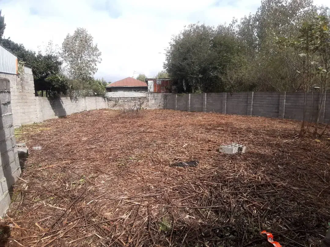 مسکونی دور دیوار|فروش زمین و ملک کلنگی|لشت نشا, |دیوار