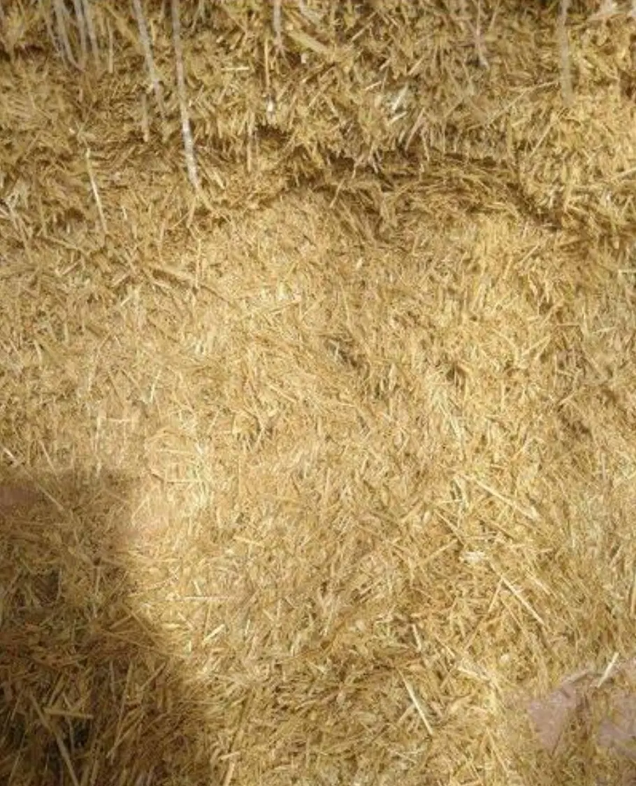 گاه گندم|لوازم جانبی حیوانات|مهران (ایلام), |دیوار