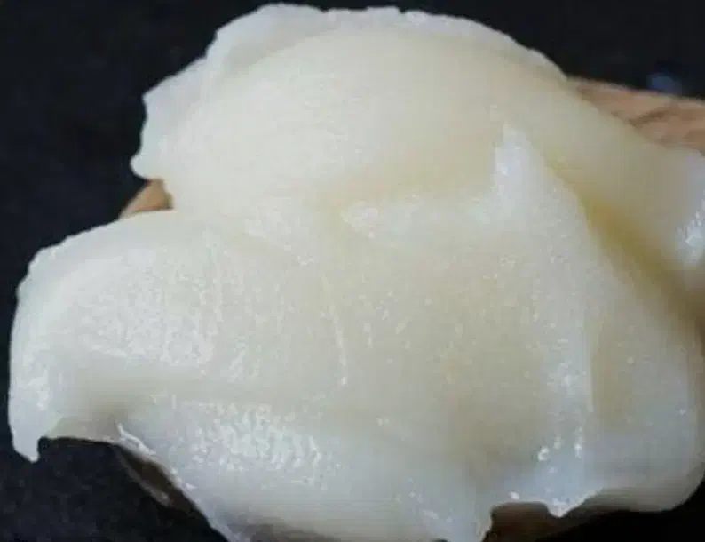 روغن دنبه|خوردنی و آشامیدنی|قم, اسمعیل آباد|دیوار