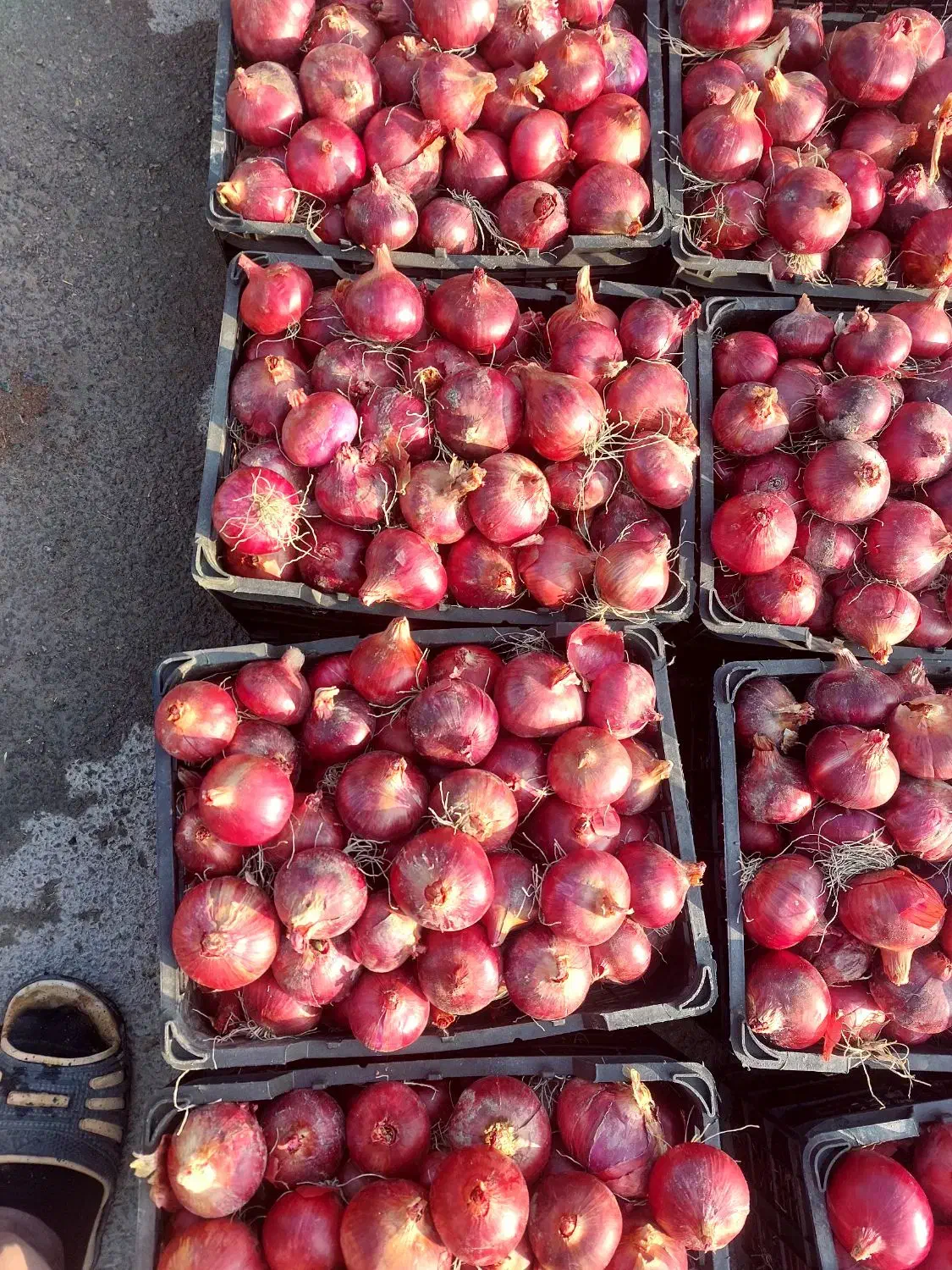پباز|خوردنی و آشامیدنی|نوشین شهر, |دیوار