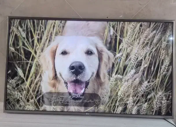 تعمیر تلویزیون در منزل|خدمات پیشه و مهارت|اسلام‌شهر, زرافشان|دیوار