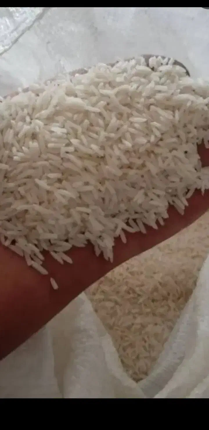 برنج|خوردنی و آشامیدنی|یزد, |دیوار