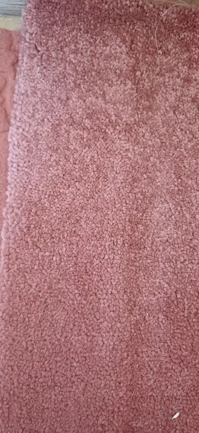 موکت|موکت|تبریز, |دیوار