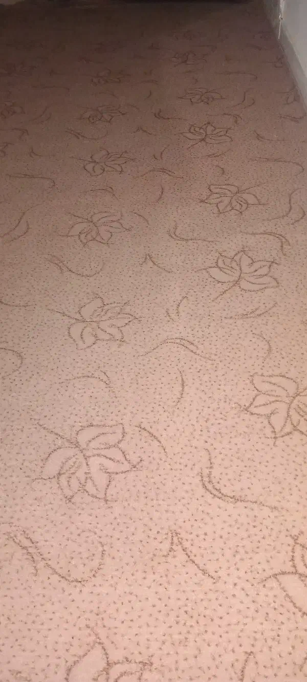 موکت|موکت|پیشوا, |دیوار