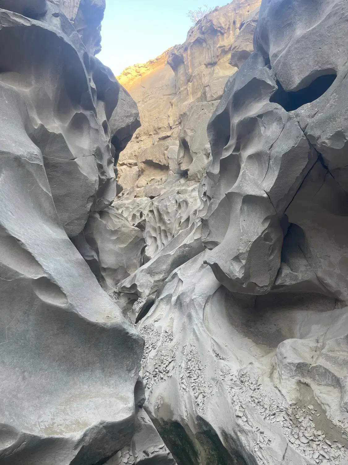 گردش جزیره قشم|تور و چارتر|درگهان, |دیوار