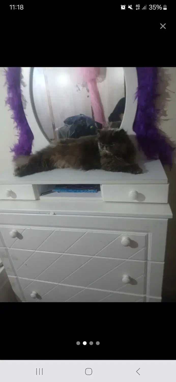 تخت خواب نو جوان|تخت و سرویس خواب|ری, دولت‌آباد|دیوار