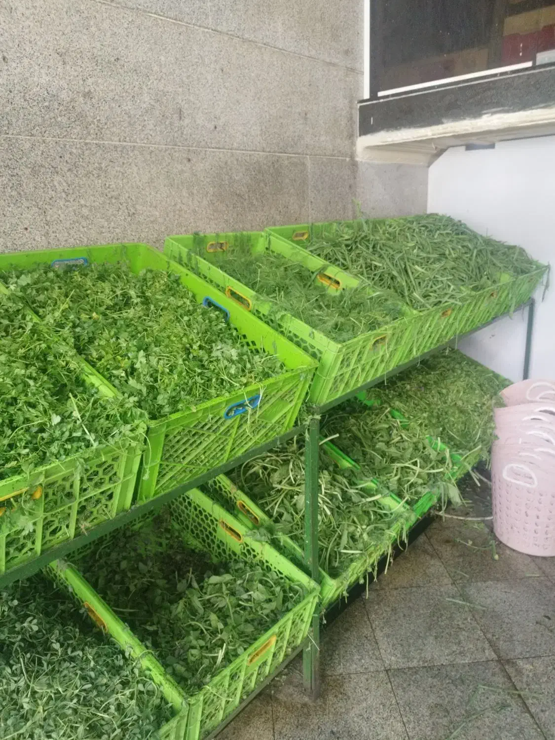 کارمند سبزی خرد کنی|استخدام خدمات فروشگاه و رستوران|پیشوا, |دیوار