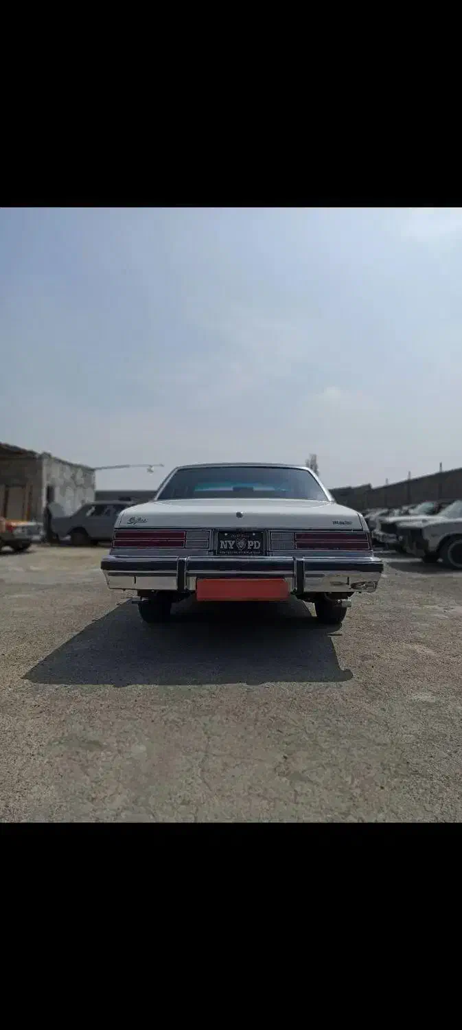 بیوک B3 1364 بازسازی شده 20 سال خواب بوده|خودرو کلاسیک|تهران, جوانمردان (اندیشه)|دیوار