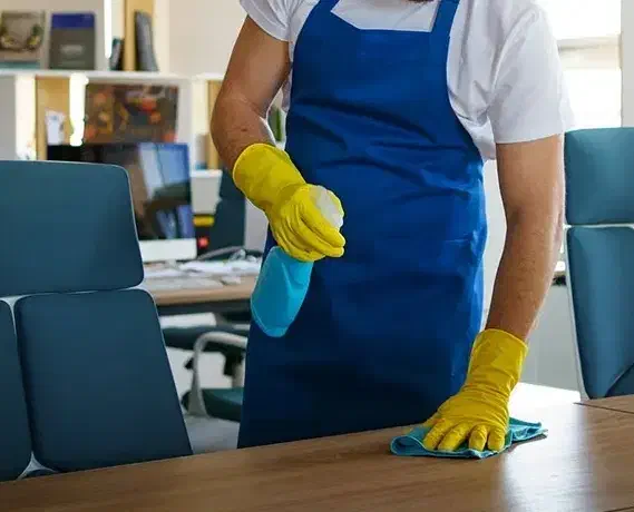 نظافت خانه شما|خدمات نظافت|رشت, گلسار|دیوار