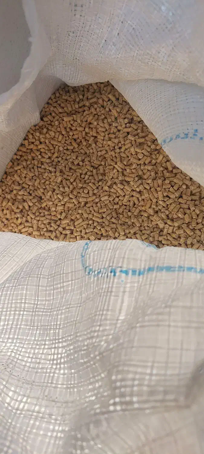 دان مرغ|ماهی|قم, شهرک فاطمیه|دیوار