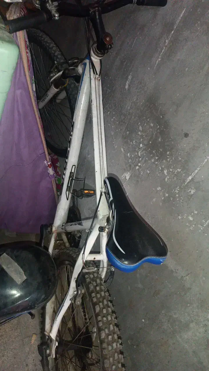 دوچرخه|دوچرخه، اسکیت، اسکوتر|گلبهار, شهر جدید گلبهار|دیوار