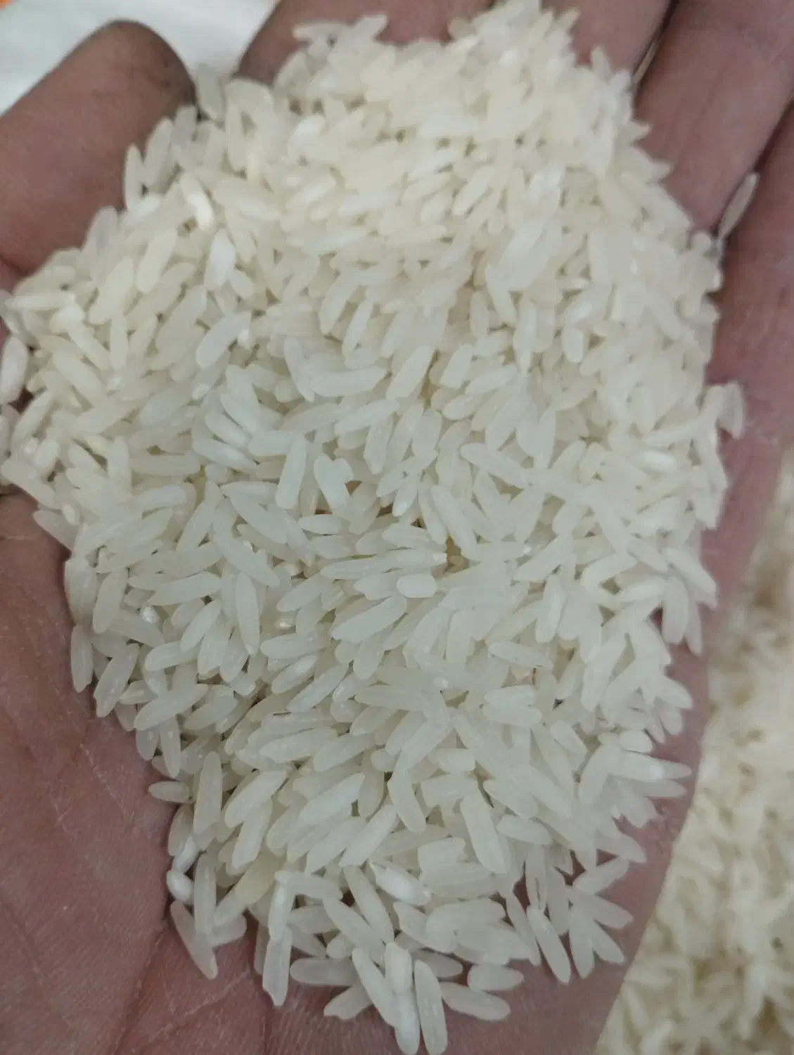 برنج تایلندی درجه 1|خوردنی و آشامیدنی|اهواز, پردیس|دیوار