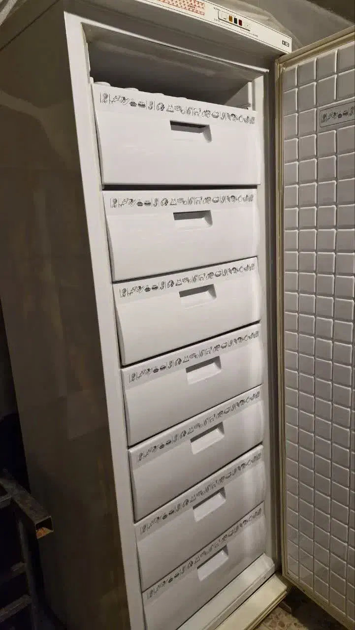 فریزر مارک برنا سالم بدون عیب وایراد|یخچال و فریزر|ملایر, |دیوار