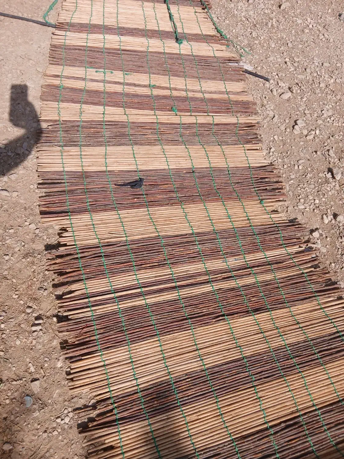 نی چید|عمدهفروشی|مرودشت, تخت جمشید|دیوار