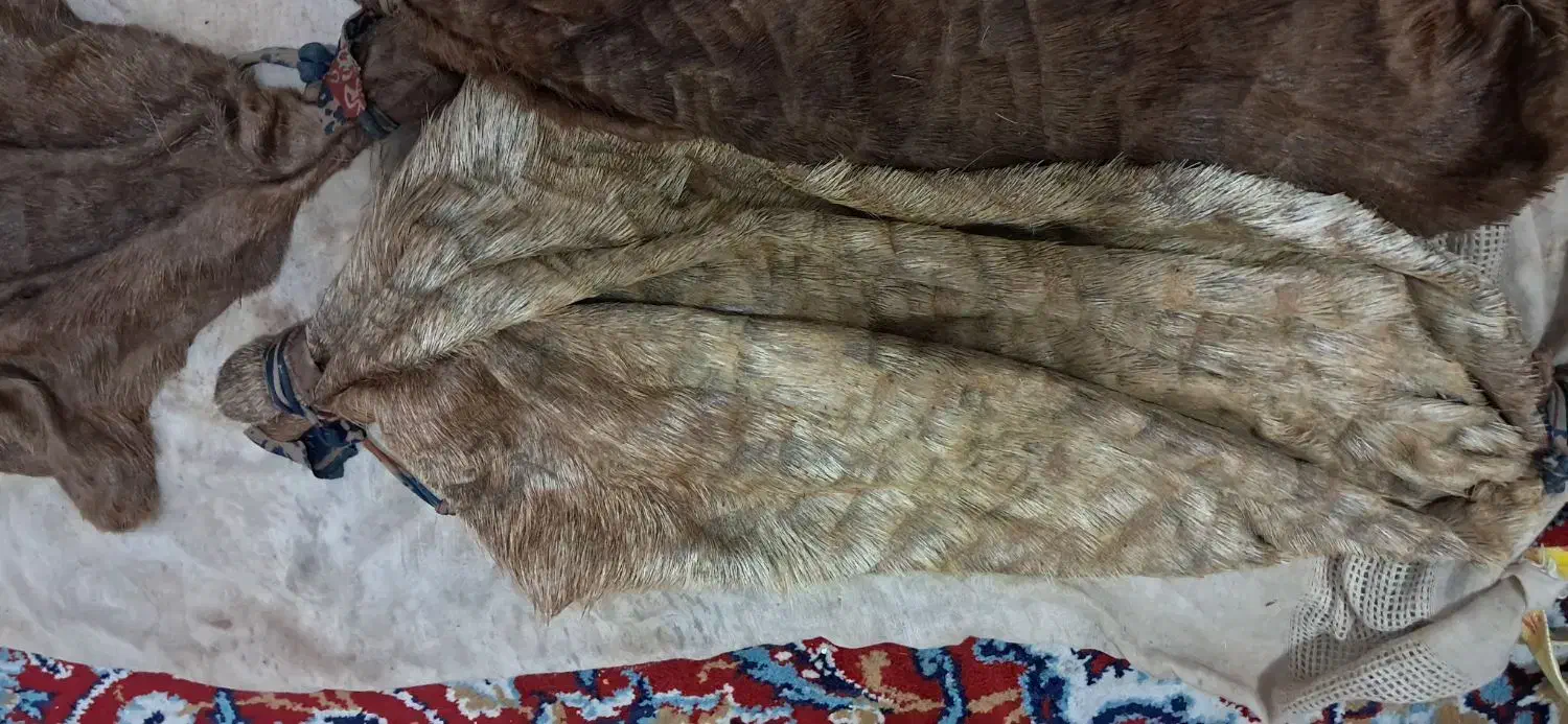 خیگ جای روغن|ظروف نگهدارنده، پلاستیکی، یک‌بارمصرف|دهدشت, |دیوار