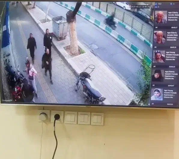 دوربین مداربسته حمیدی مخصوص باغ و شرکت و کارخانه|دوربین مداربسته|باوی, |دیوار