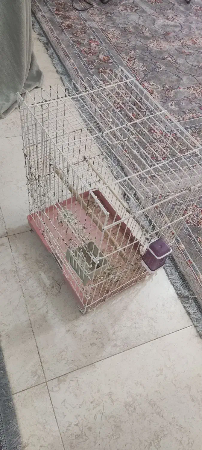 قفس پرنده|لوازم جانبی حیوانات|کیش, |دیوار