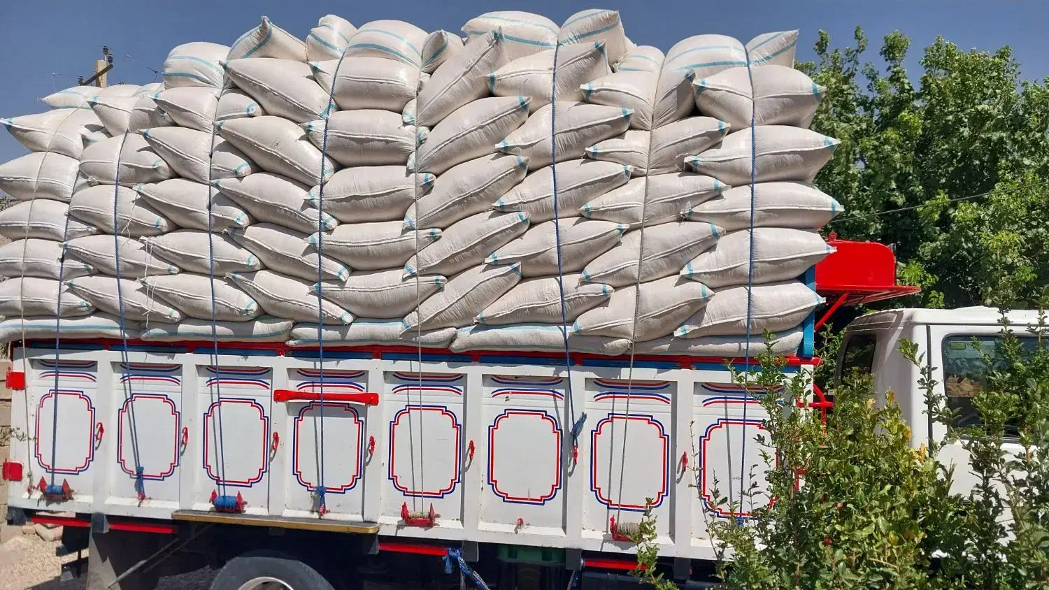 کاه|لوازم جانبی حیوانات|مسجد سلیمان, |دیوار