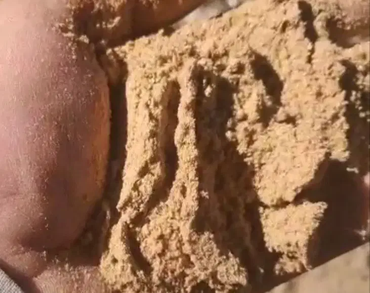 سبوس برنج آردک|لوازم جانبی حیوانات|شیراز, گویم|دیوار