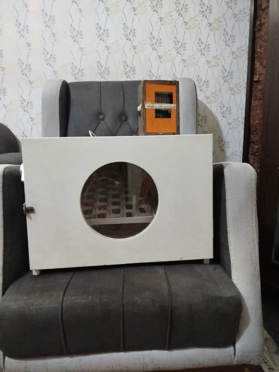 دستگاه جوجه کشی|لوازم جانبی حیوانات|مرودشت, ولایت|دیوار