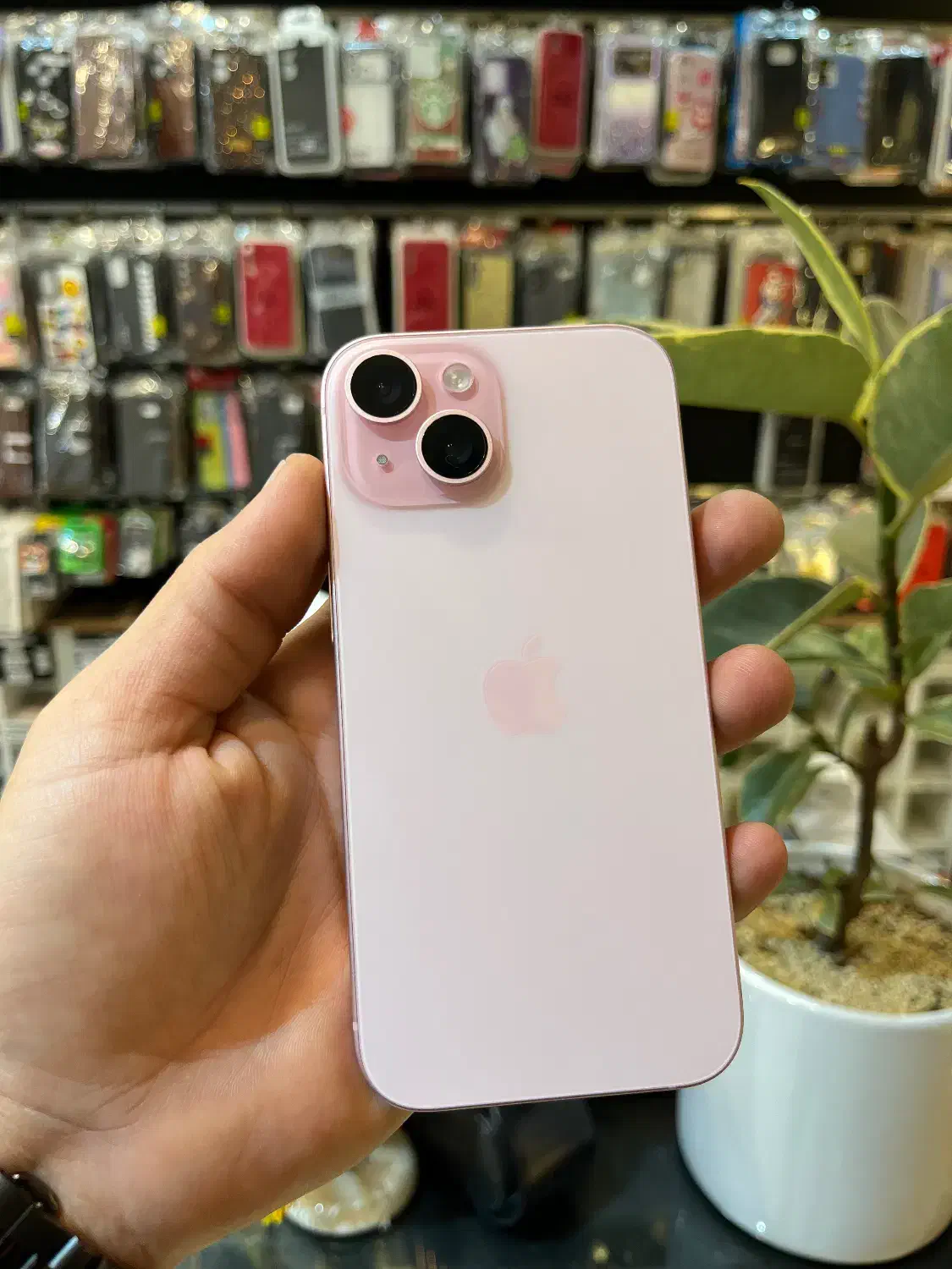 Iphone 15 128 ch|موبایل|نیشابور, امام خمینی|دیوار