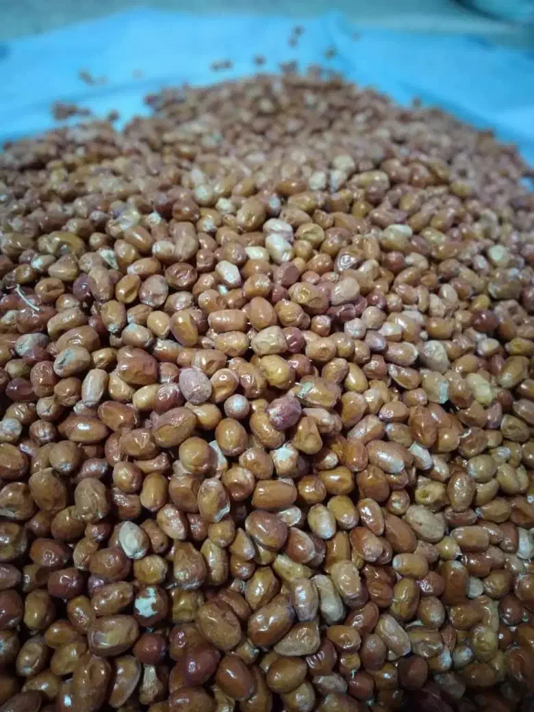 سنجد|خوردنی و آشامیدنی|اصفهان, تیران|دیوار