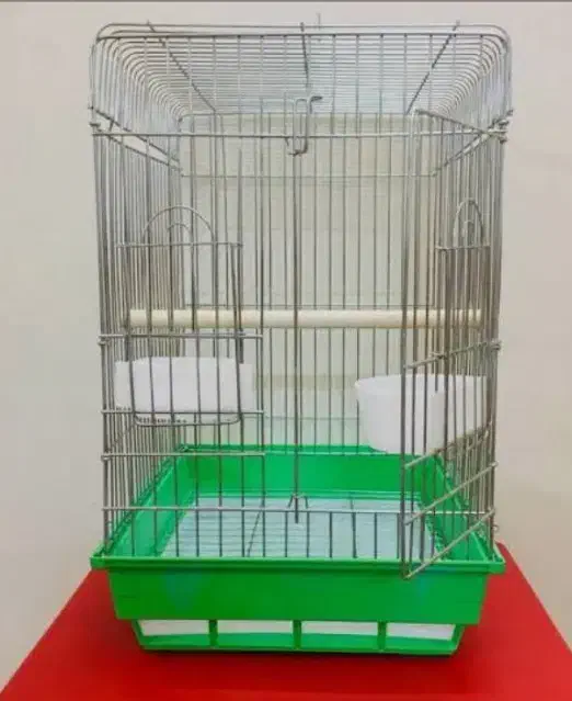 گرینچیک رام باقفس|پرنده|کرمان, |دیوار