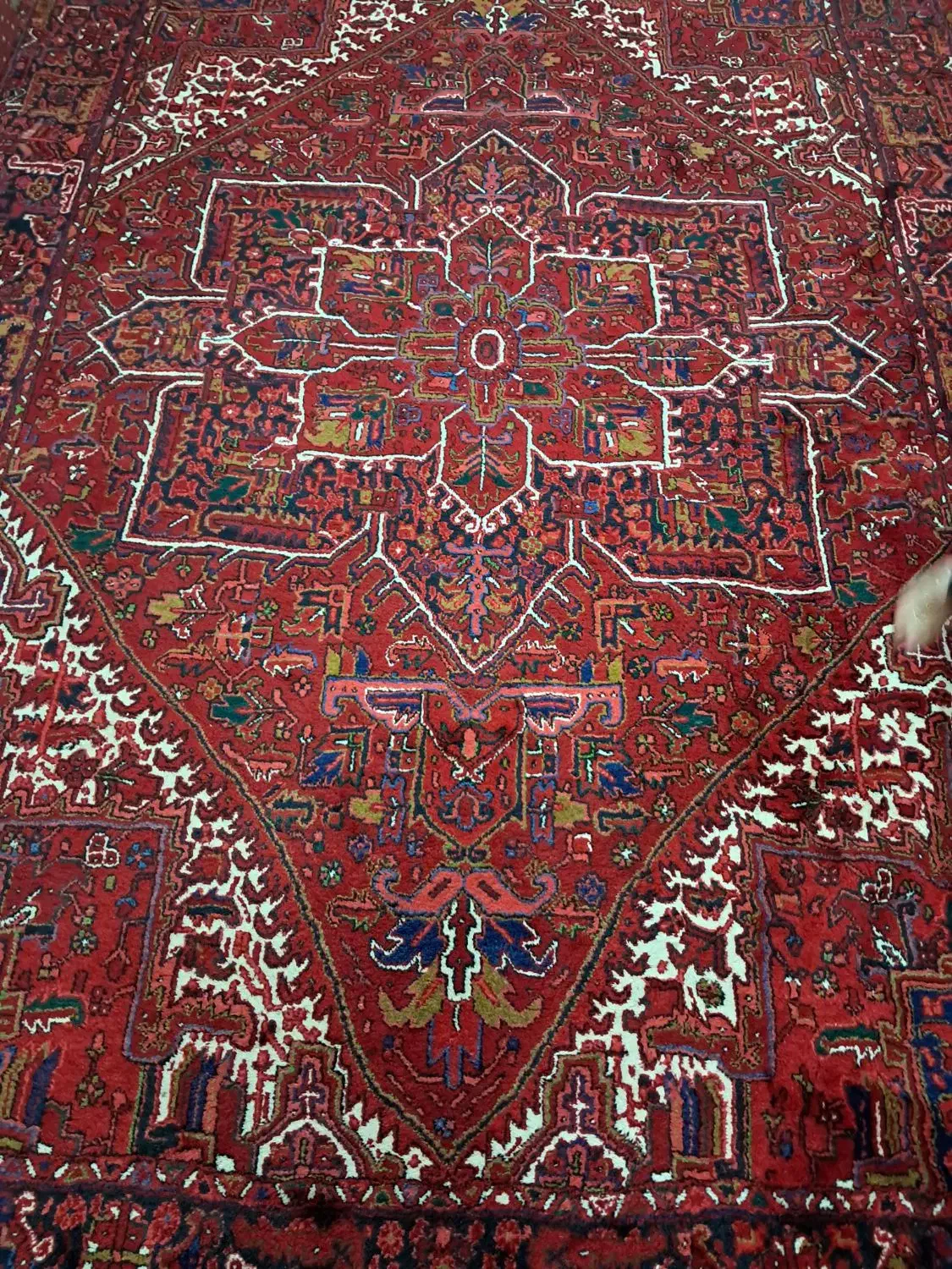 فرش طبیعی|فرش|تبریز, |دیوار