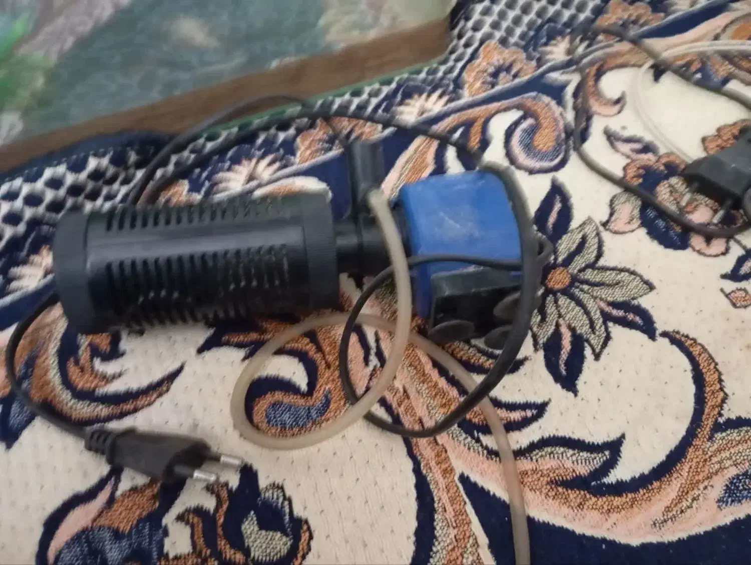 لوازم اکواریم|ماهی|مشهد, قائم|دیوار