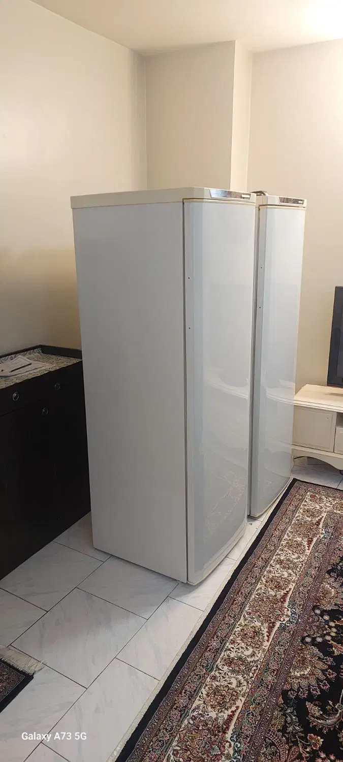 یخچال فریزر دوقلو وستینگ هاوس|یخچال و فریزر|ری, جوانمرد قصاب|دیوار