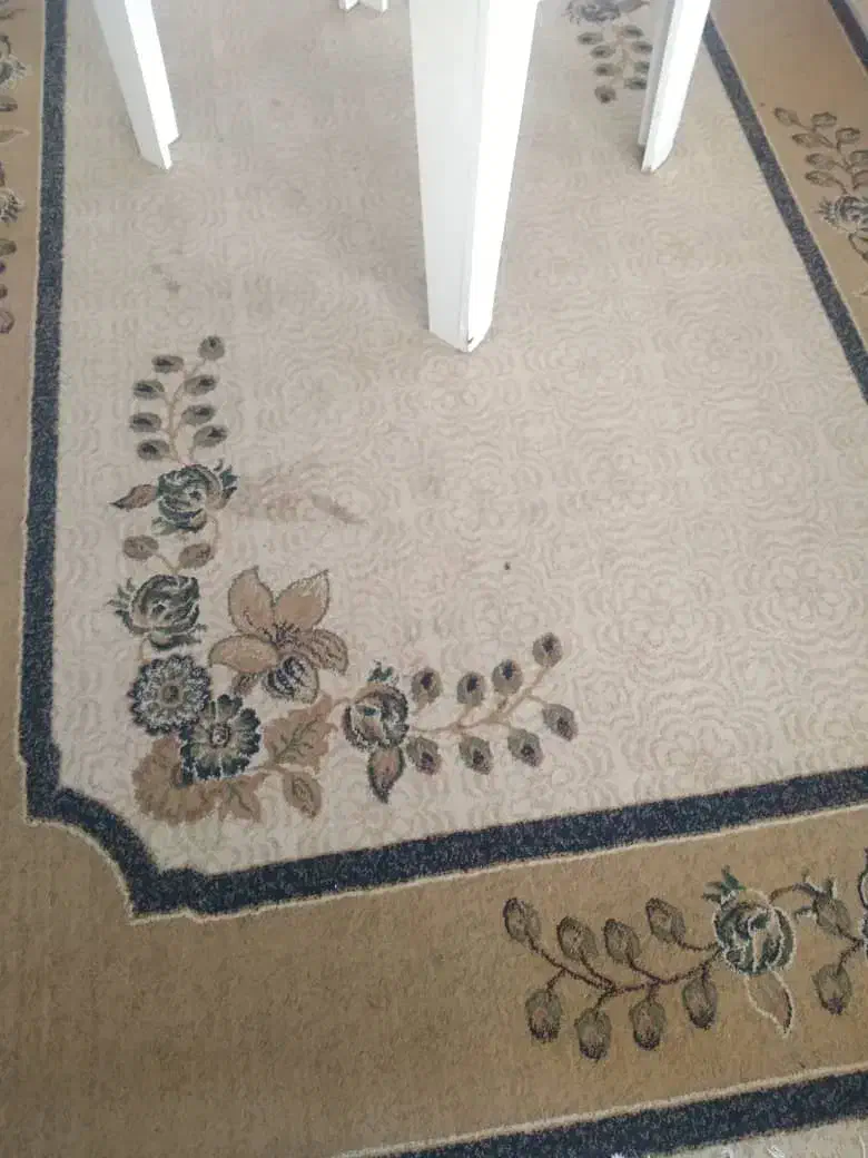 ۶ عدد فرش ماشینی ۶ متری|فرش|رامسر, |دیوار