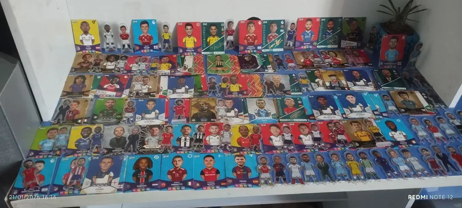 کیمدی|اسباببازی|پرند, فاز ۵|دیوار