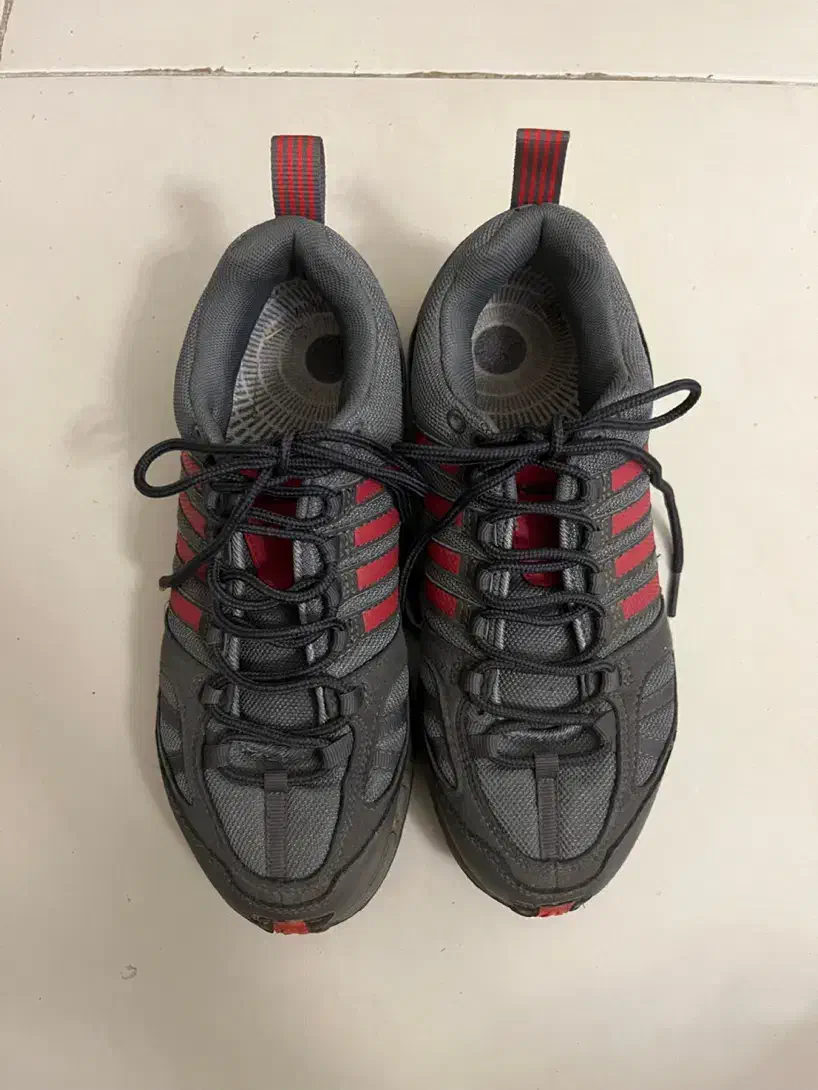 کتانی رانر سایز ۴۱|کیف، کفش، کمربند|رامسر, |دیوار